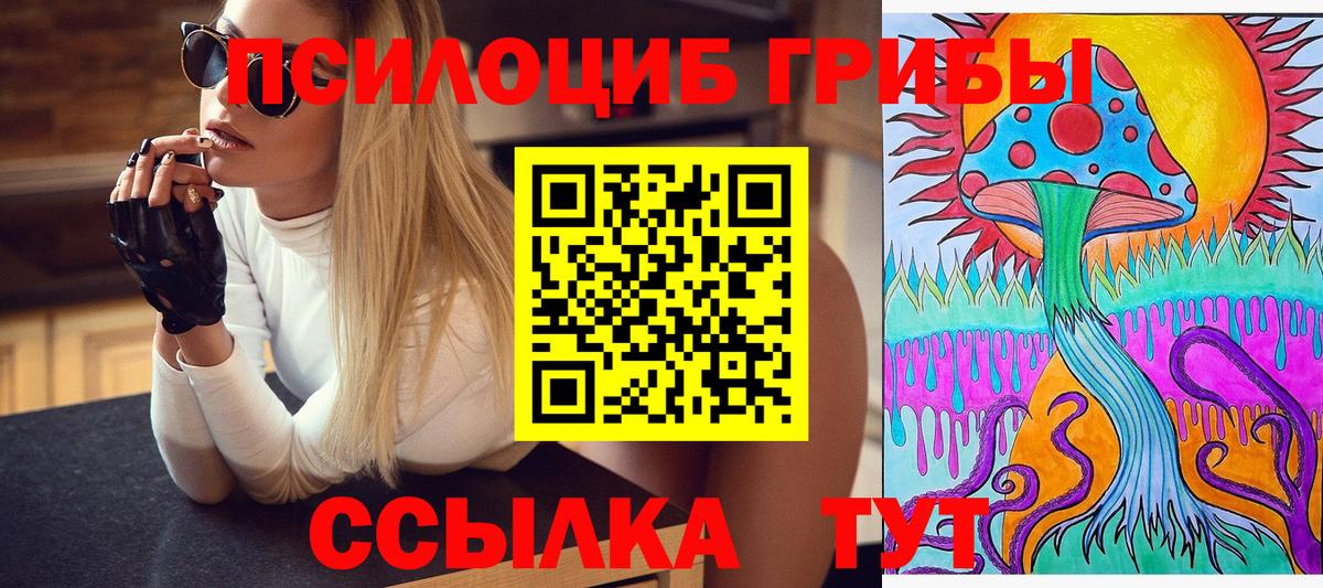 Галлюциногенные грибы GOLDEN TEACHER  Вход с VPN  Псилоцибиновые грибы Psilocybe  Клин 